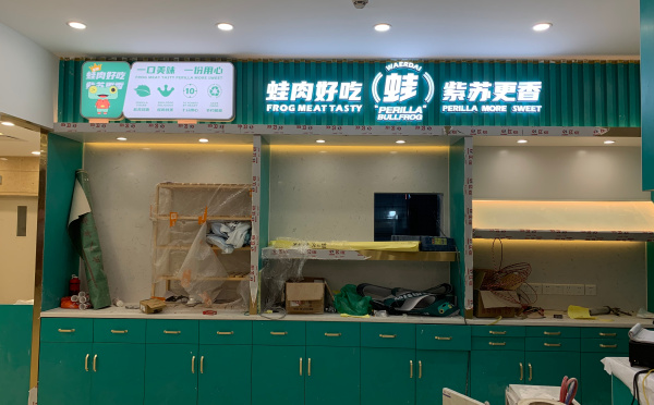 蛙二（èr）代